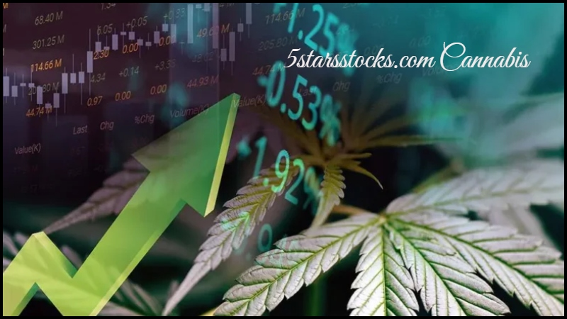 5starsstocks.com Cannabis