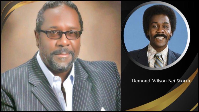 demond wilson net worth