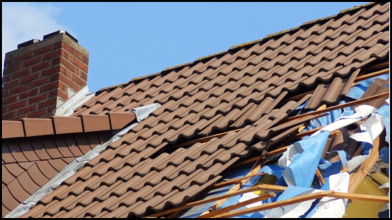 Insurance Claims